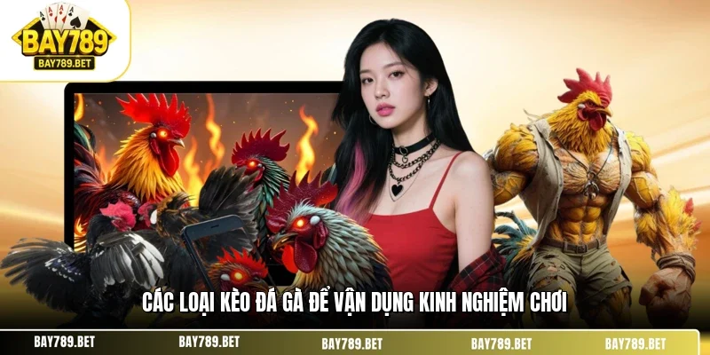 Các loại kèo đá gà để vận dụng kinh nghiệm chơi