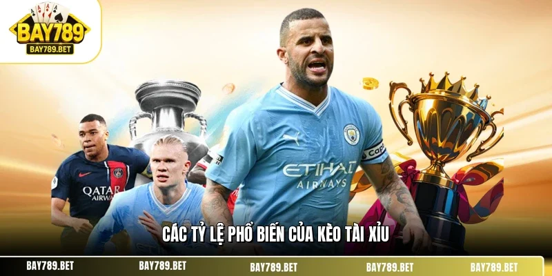 Các tỷ lệ phổ biến của kèo tài xỉu