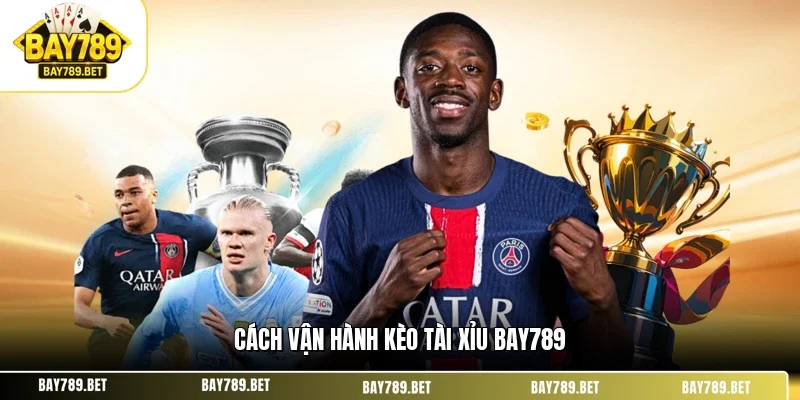 Cách vận hành kèo tài xỉu BAY789