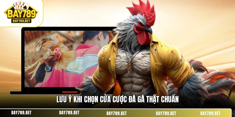 Lưu ý khi chọn cửa cược đá gà thật chuẩn