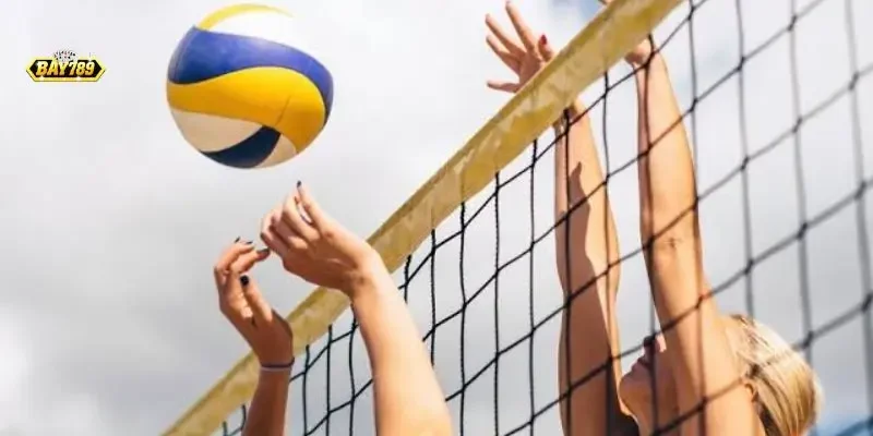  Bảng tỷ lệ kèo cá cược bóng chuyền Bay789 giao diện trực quan cập nhật theo thời gian thực.